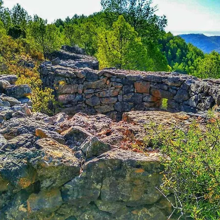 Els Orgues De Benitandus *