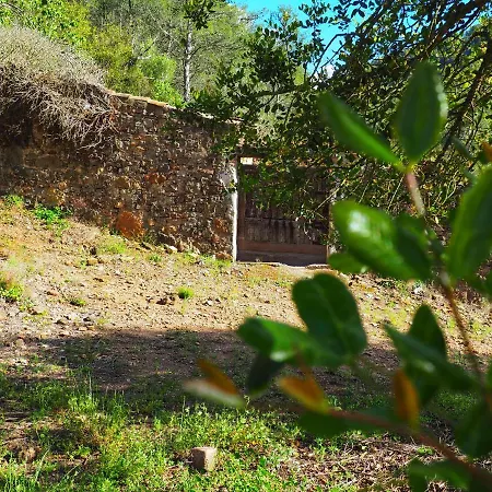 Els Orgues De Benitandus Holiday home