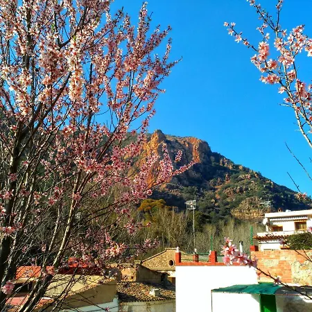 Els Orgues De Benitandus * Alcudia de Veo